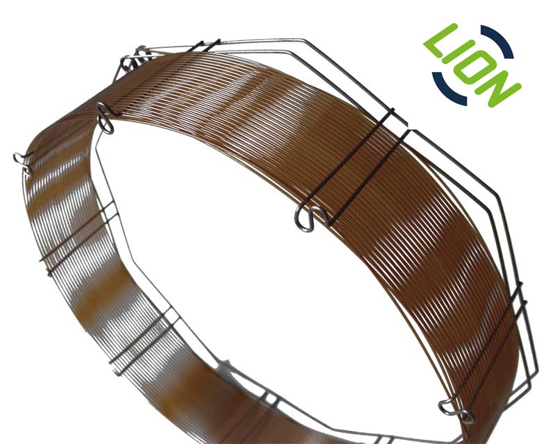 Lion_column_WEB copy
